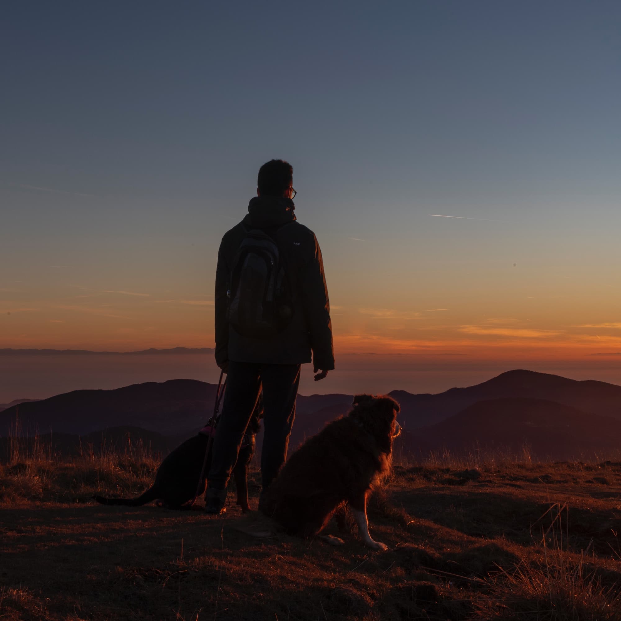 person with dog overlooking mountain with sunset